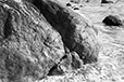 By the Shore 6